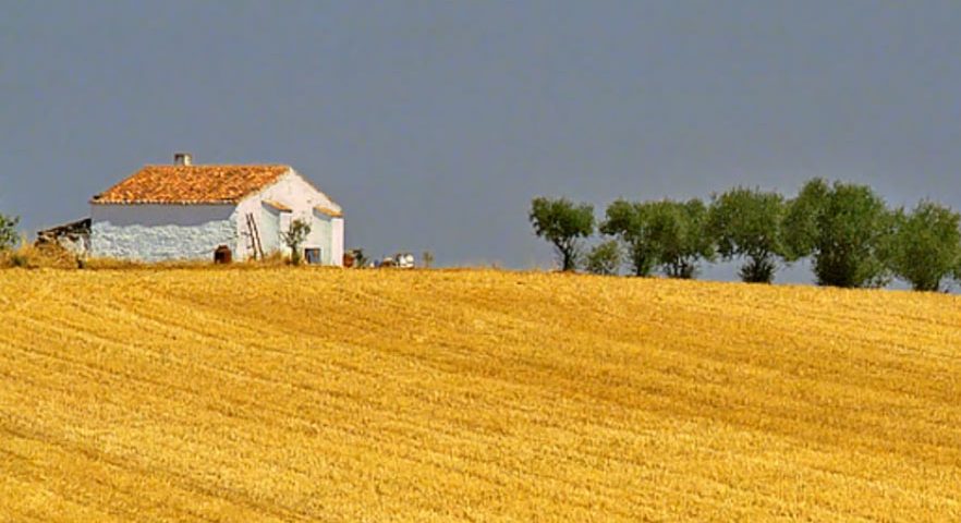 Ó rama, ó que linda rama, Canções, Musicas infantis, Musica Popular Portuguesa, Tradicionais, infantil, Canções populares, Televisão, Portuguesas, Portugal