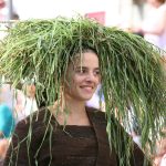 Romaria, Festa, Senhora da Agonia, Viana do Castelo, Minho, Cartazes, Cartaz, 2017, programa, programas, Artistas, Ranchos, Bandas, contactos, programa 2018, Festas, Portugal