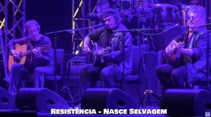 Nasce Selvagem, Resistência, Delfins, Letra, canção, Musicas, bandas, Miguel Ângelo, Projectos, Artistas Portugueses, Músicos, Cantores, portugueses