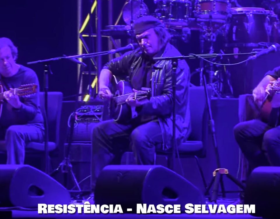 Nasce Selvagem, Resistência, Delfins, Letra, canção, Musicas, bandas, Miguel Ângelo, Projectos, Artistas Portugueses, Músicos, Cantores, portugueses