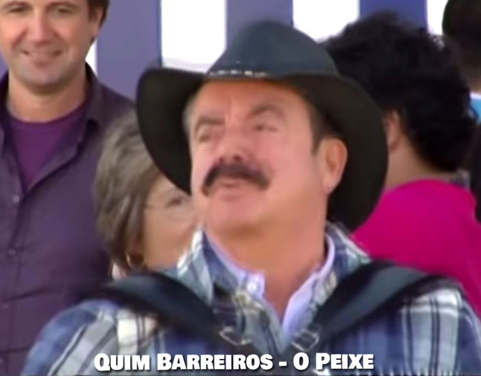 O Peixe, Quim Barreiros, Letra, Artistas Portugueses, Musica Popular, Cantores, Musicas, letras, Musica de Festa, Artistas, Peixe, Letras de Canções, Letras, Português