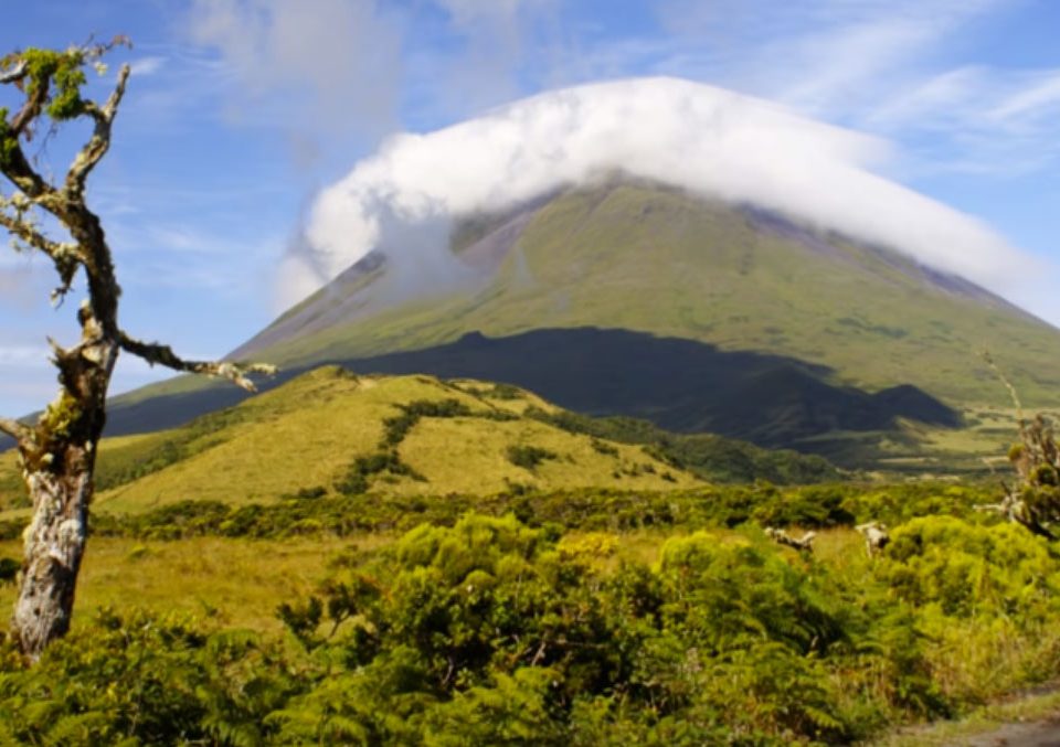 Pézinho do Pico, Fui ao Pico e piquei-me, Ilha do Pico, Açores, Musicas Tradicionais, Canção, Popular, Açoreana, Moda açoriana, Letras, Danças, açorianas